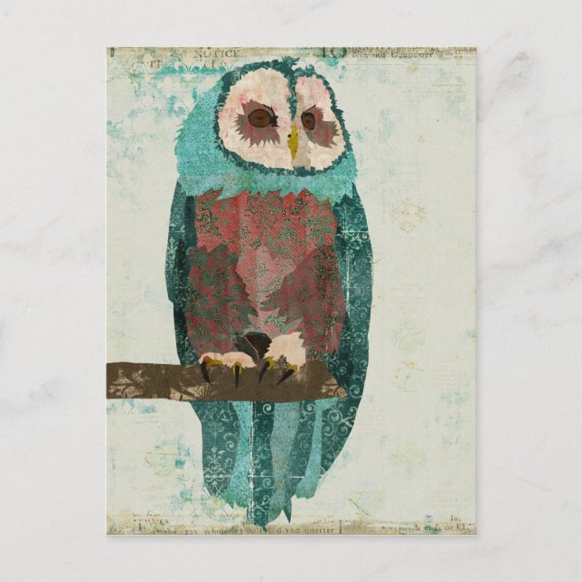 Blue Blush Owl Postcard (Front)