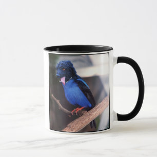 Blue boodle mug
