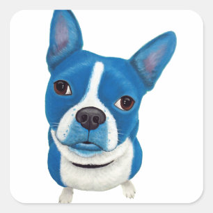 Blue Boston Terrier Square Sticker