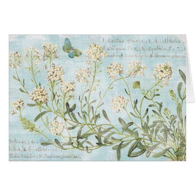 Blue Botanical (Front Horizontal)