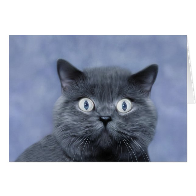 Blue Boy (Front Horizontal)