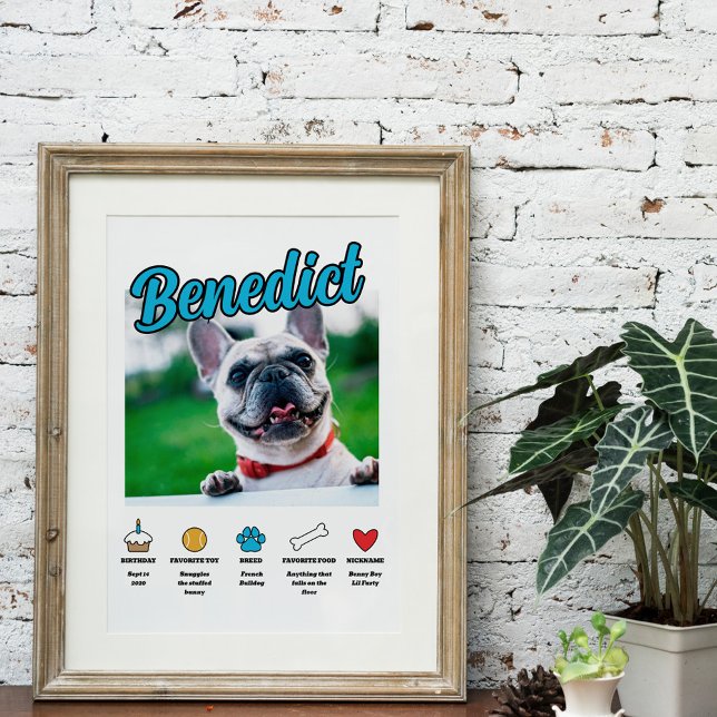 Blue Boy Customised About Your Dog Photo Poster (Creator Uploaded)