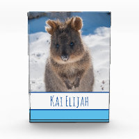 Blue Boys Personalised Quokka on the Beach