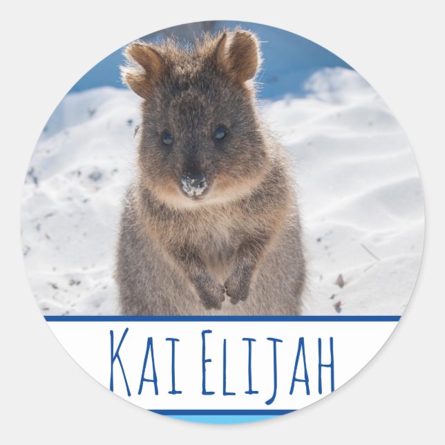 Blue Boys Personalized Quokka Beach Sticker (Front)