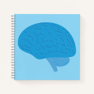 Blue Brain Notebook