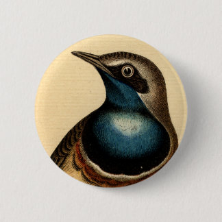 Blue Breasted Bird 6 Cm Round Badge