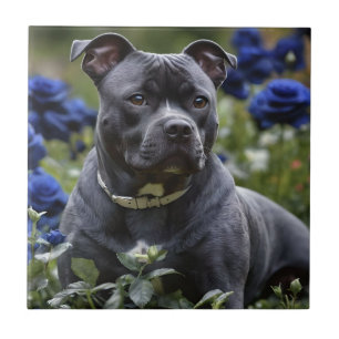 "Blue Brindle Beauty: A Staffy in Blue Roses Ceramic Tile