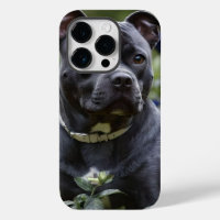 "Blue Brindle Beauty: A Staffy With Blue Roses