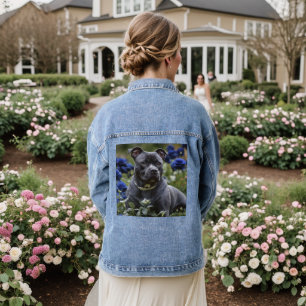 "Blue Brindle Beauty: A Staffy With Blue Roses Denim Jacket