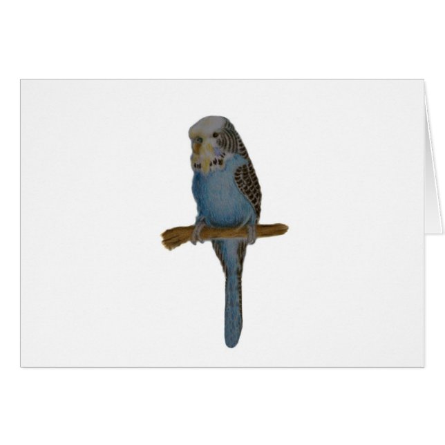Blue Budgie Art (Front Horizontal)