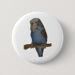 Blue budgie art button