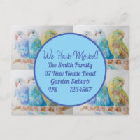 Blue Budgie Art New Address Postcard We Are Moving