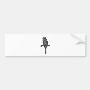Blue Budgie Bumper Sticker