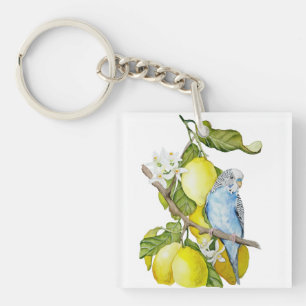 Blue Budgie in Lemon Tree Watercolor Botanical Art Key Ring