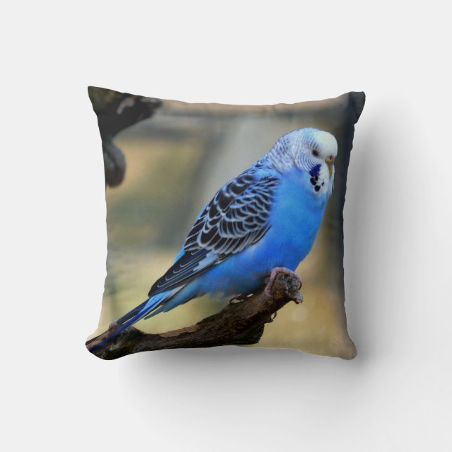 Blue Budgie Parrot Bird Cushion (Front)