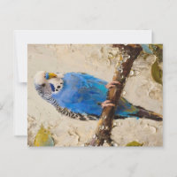 Blue Budgie