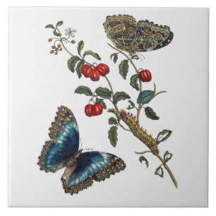  Blue Butterflies and Red Fruits Ceramic Tile