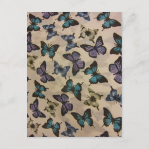 Blue Butterflies Postcard