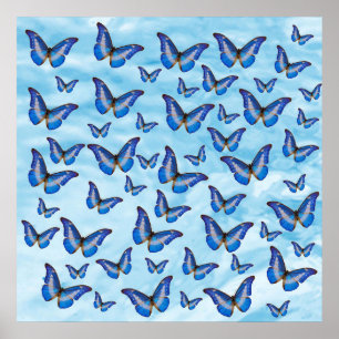 Blue Butterflies Poster