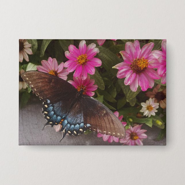 blue butterfly  (Front)