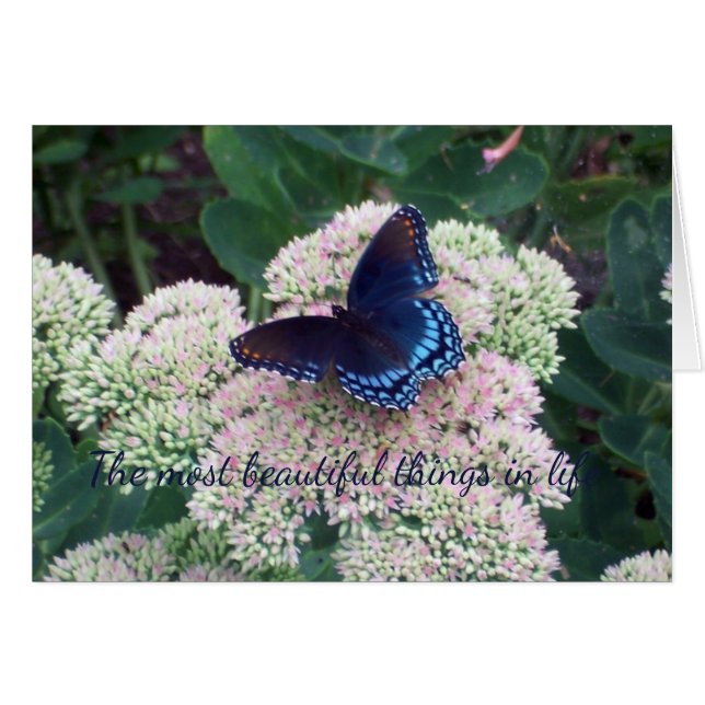 Blue Butterfly (Front Horizontal)