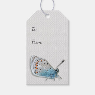 Blue Butterfly All Occasion Gift Tag