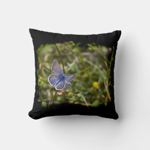 Blue Butterfly Black Edge Cushion