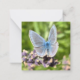 Blue Butterfly Card