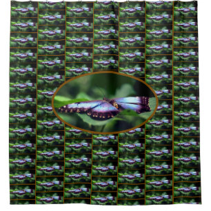 Blue Butterfly Close Up Nature Pattern    Shower Curtain