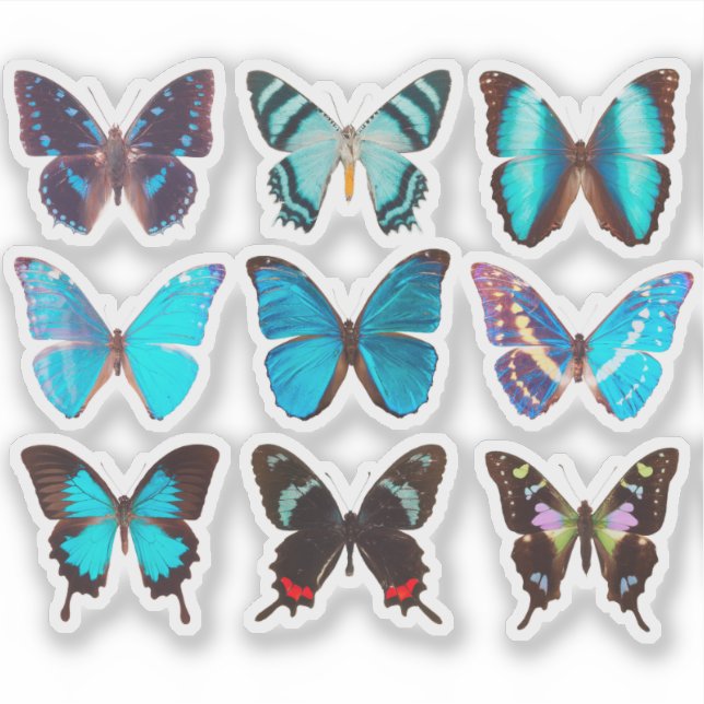 Blue Butterfly Collection 4" Vinyl Sticker (Front)