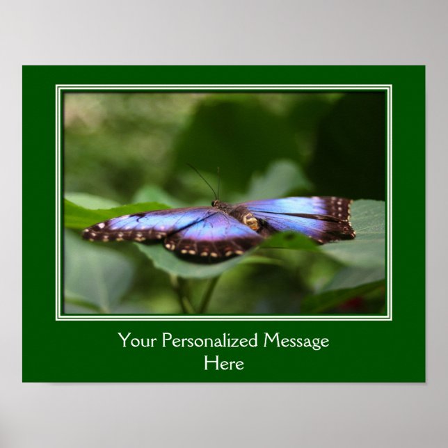 Blue Butterfly Create Your Own Quote Poster (Front)