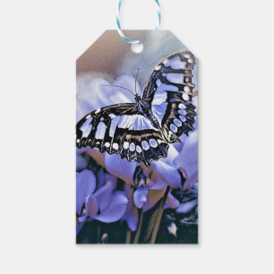 Blue Butterfly Gift Tags