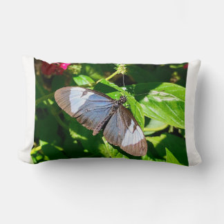 Blue Butterfly Image Pillow