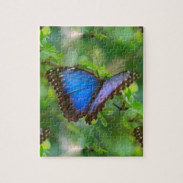 Blue Butterfly Jigsaw Puzzle (Vertical)