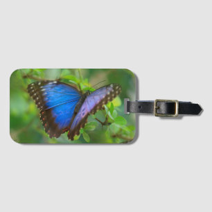 Blue Butterfly Luggage Tag