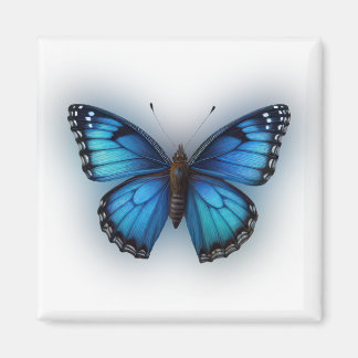 Blue Butterfly Magnet
