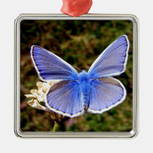 Blue Butterfly Metal Ornament