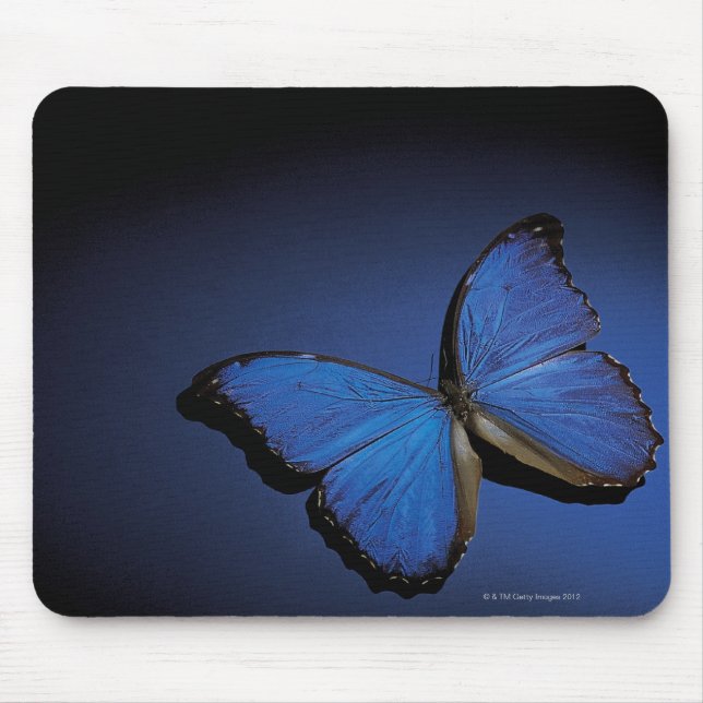 Blue butterfly mouse pad (Front)