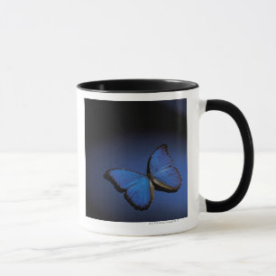 Blue butterfly mug