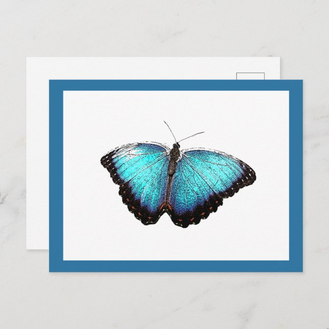 Blue Butterfly Nature Art, Fine Photo Illustration Postcard (Front/Back)