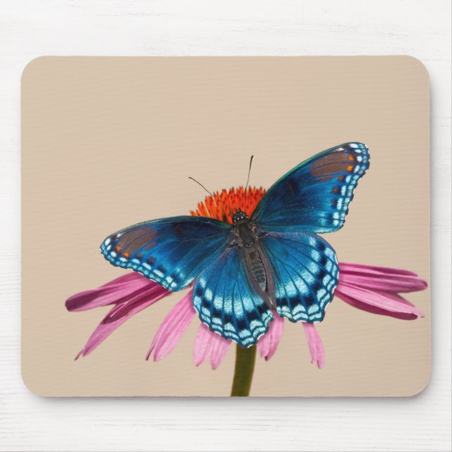 Blue butterfly on Coneflower Mouse Pad (Front)