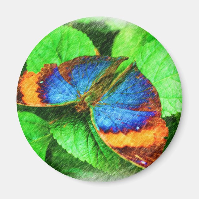 Blue Butterfly Pencil Art Magnet (Front)