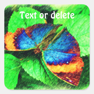 Blue Butterfly Pencil Art Personalised Square Sticker