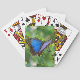Blue Butterfly Playing Cards