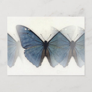 Blue Butterfly Postcard