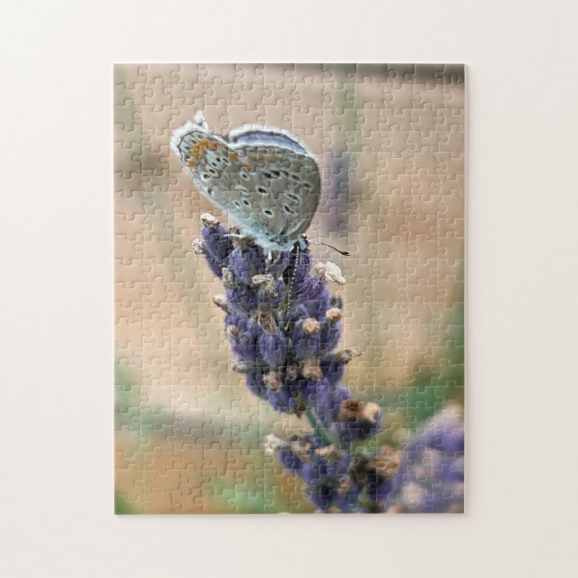 Blue Butterfly Puzzle (Vertical)