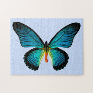 Blue Butterfly Puzzle