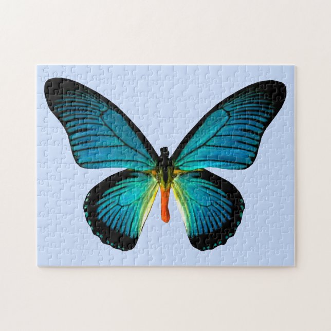 Blue Butterfly Puzzle (Horizontal)