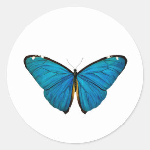 BLUE BUTTERFLY ROUND CUSTOM STICKER