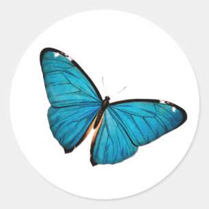 Blue Butterfly Round Sticker